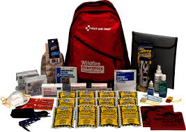 Emergency Preparedness Backpack Wildfire