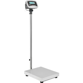Global Industrial™ Industrial Bench & Floor Scale With LCD Indicator 660 lb x 0.25 lb