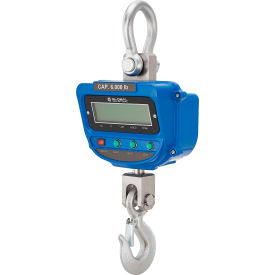 Global Industrial™ Heavy-Duty LCD Digital Crane Scale w/ Remote 6000 lb x 1 lb
