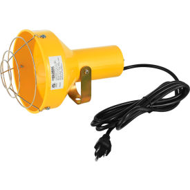 Global Industrial™ Dock Light Head Par38 Bulb Compatible 8' Cord w/ Plug