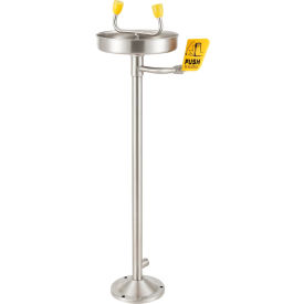 Global Industrial™ Emergency Eyewash Station Pedestal Mount Stainless Steel