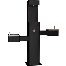 Global Industrial™ Outdoor Bottle Filling Station & Bi-Level Fountain w/ Filter Black