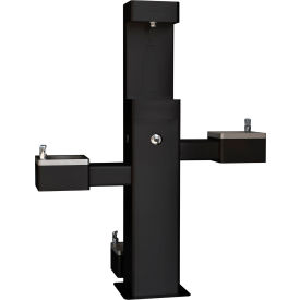 Global Industrial™ Outdoor Bottle Filler & Bi-Level Fountain w/ Pet Station & Filter Black