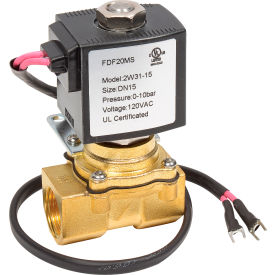 Replacement Solenoid Valve Assembly 110V - 641250 261990 641745