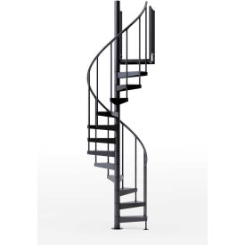 Global Industrial™ Condor 36""H Platform 2 Rails Spiral Stair Kit 42""Dia 12-5/6'H Black